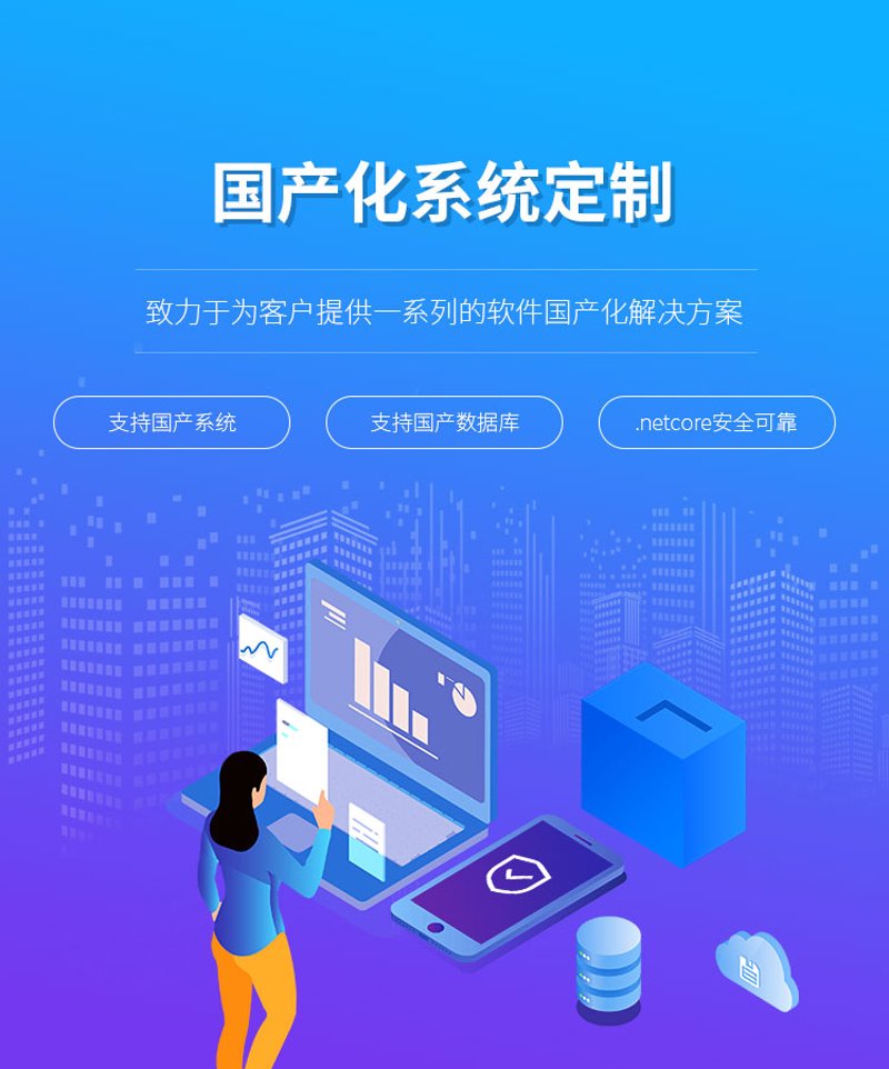 定制系统引领未来企业高效变革