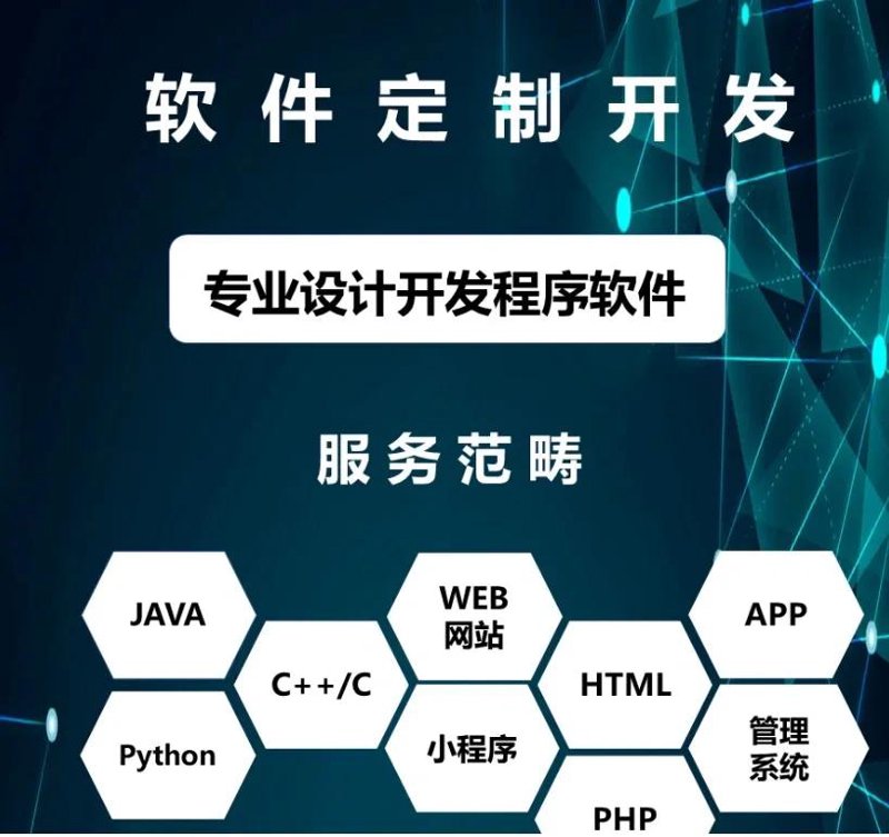 企业级软件开发：构建未来商业版图的力量